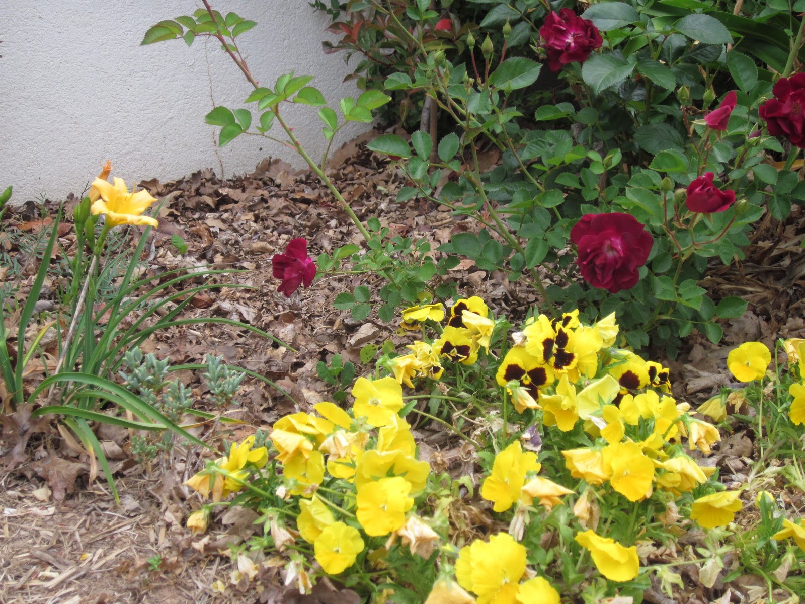 Life A L'Orange Yellow Garden Bed