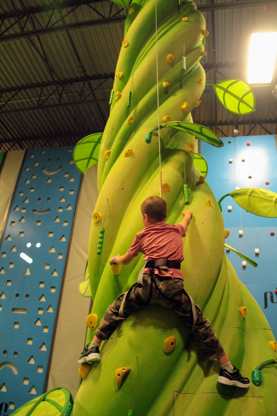 Family Adventures in the Canadian Rockies Gym to Crag How to