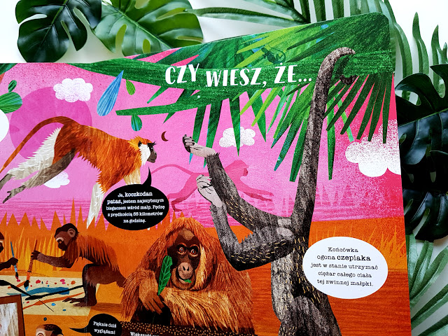 Asia Gwis - W świecie małp - Nasza Księgarnia - książeczki dla dzieci - recenzja - małpka z papieru - małpka diy - paper monkey - monkey kids crafts