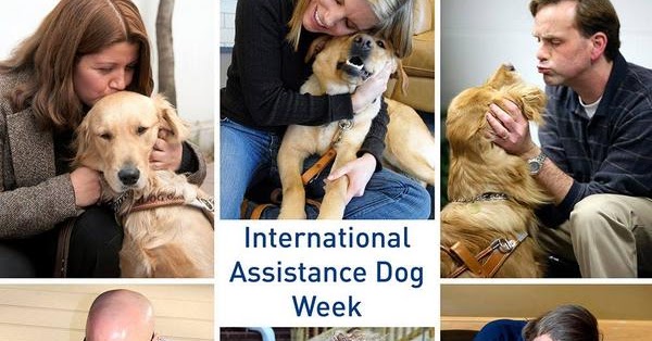 International Assistance Dog Week international-assistance-dog-week