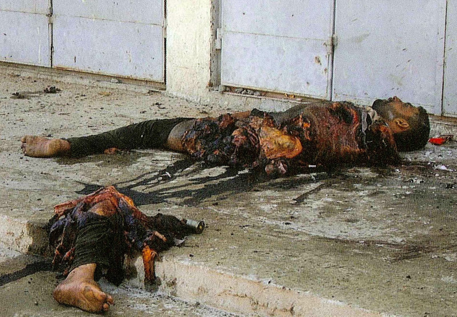 Documenting reality 9 11