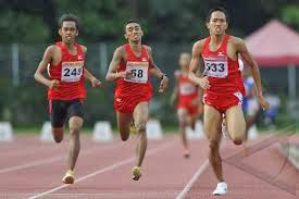 Vena S Sport Lari Vena S Sport Lari