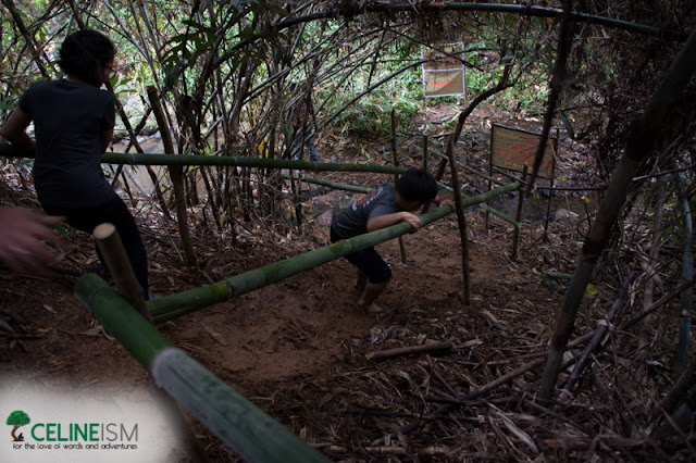 adventure playground san mateo adventure farm activities