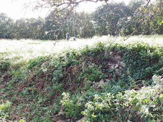 Topographic Survey, Community Archaeology at Clipstone Peel in Sherwood Forest Topographic Survey, Community Archaeology at Clipstone Peel in Sherwood Forest