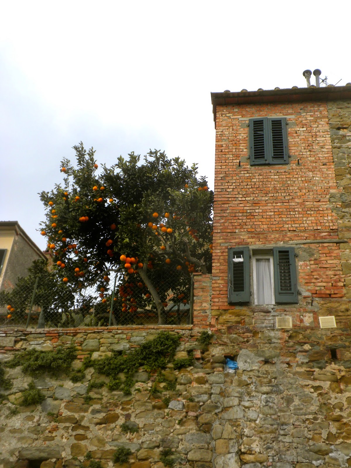Leonardo da Vinci view