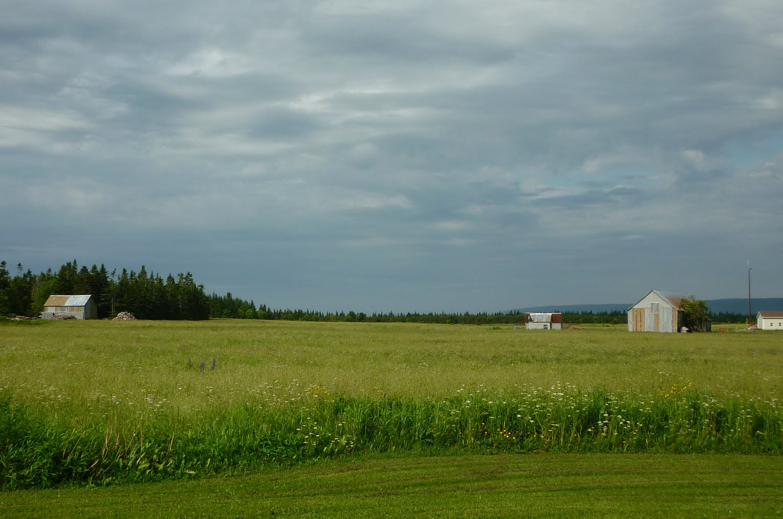 Daily Pics photographs by CarenMarie Michel Gardner Creek, New Brunswick