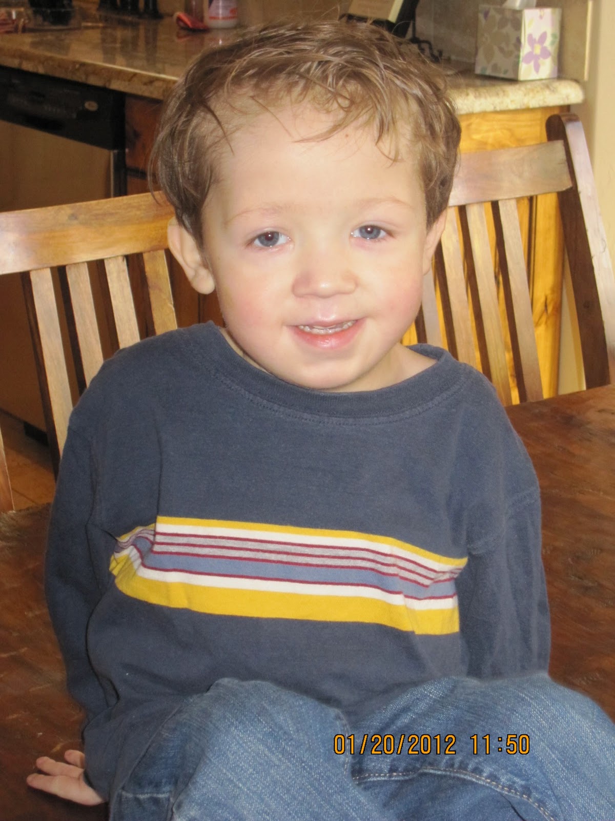 Miracle Mason PARVO, COOMBS, ENT, CPAP, BIPAP, CBC, RBC, HEMOC.....