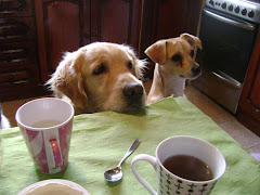 TOTO Y FELIPE, LOS " CABECILLAS " DE LA BANDA MASCOTERA, ESPERANDO SU DESAYUNO.