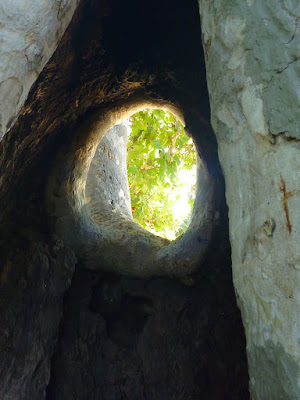 Doorway and hole of Hobbit Tree