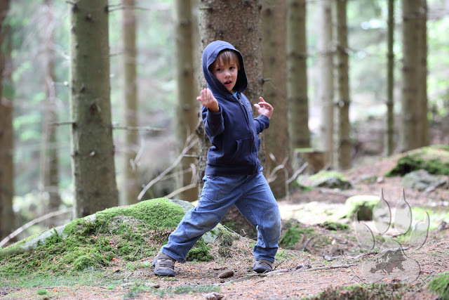 Suede-Scanie-fulltofta-naturcentrum-petit-loup-ninja
