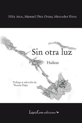 "SIN OTRA LUZ"