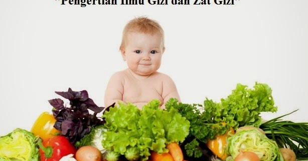 Zat Gizi Sebagai Sumber Tenaga