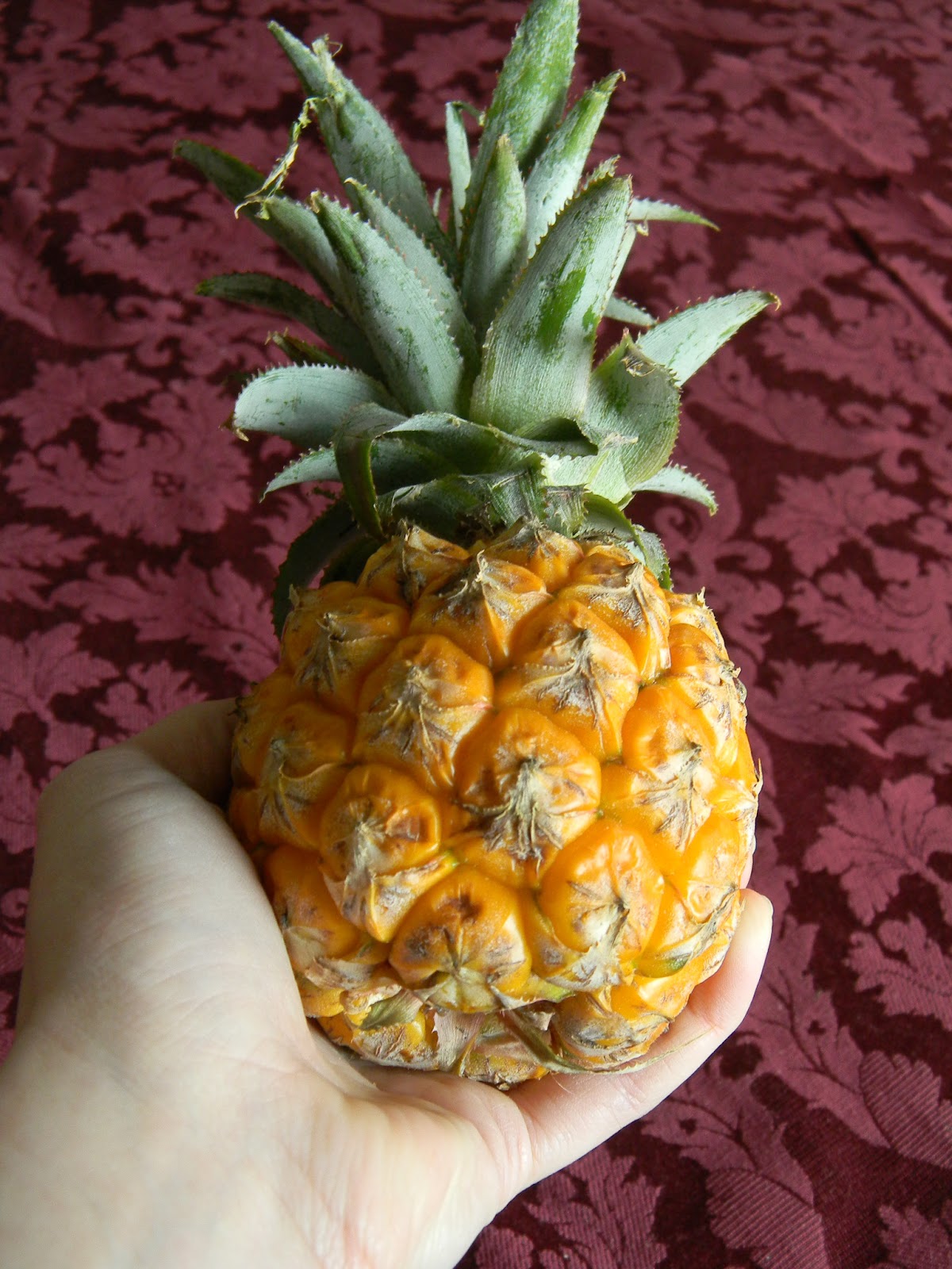 Lunches Fit For a Kid Culinary Adventure South African Baby Pineapples