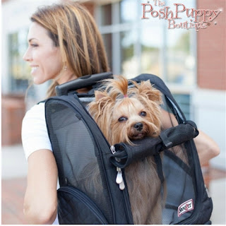 ROLL AROUND TRAVEL DOG CARRIER BACKPACK IN RED