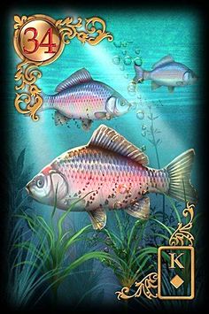 Lenormand Fish Card Combinations Interpretation Readings Predictions In