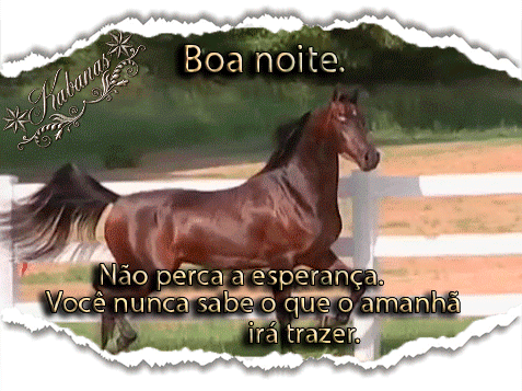 pa.gif