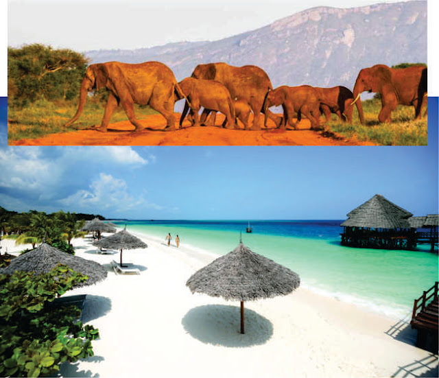 You Missed This Best Kenya Tanzania Zanzibar Tour Kenya Tanzania Trips