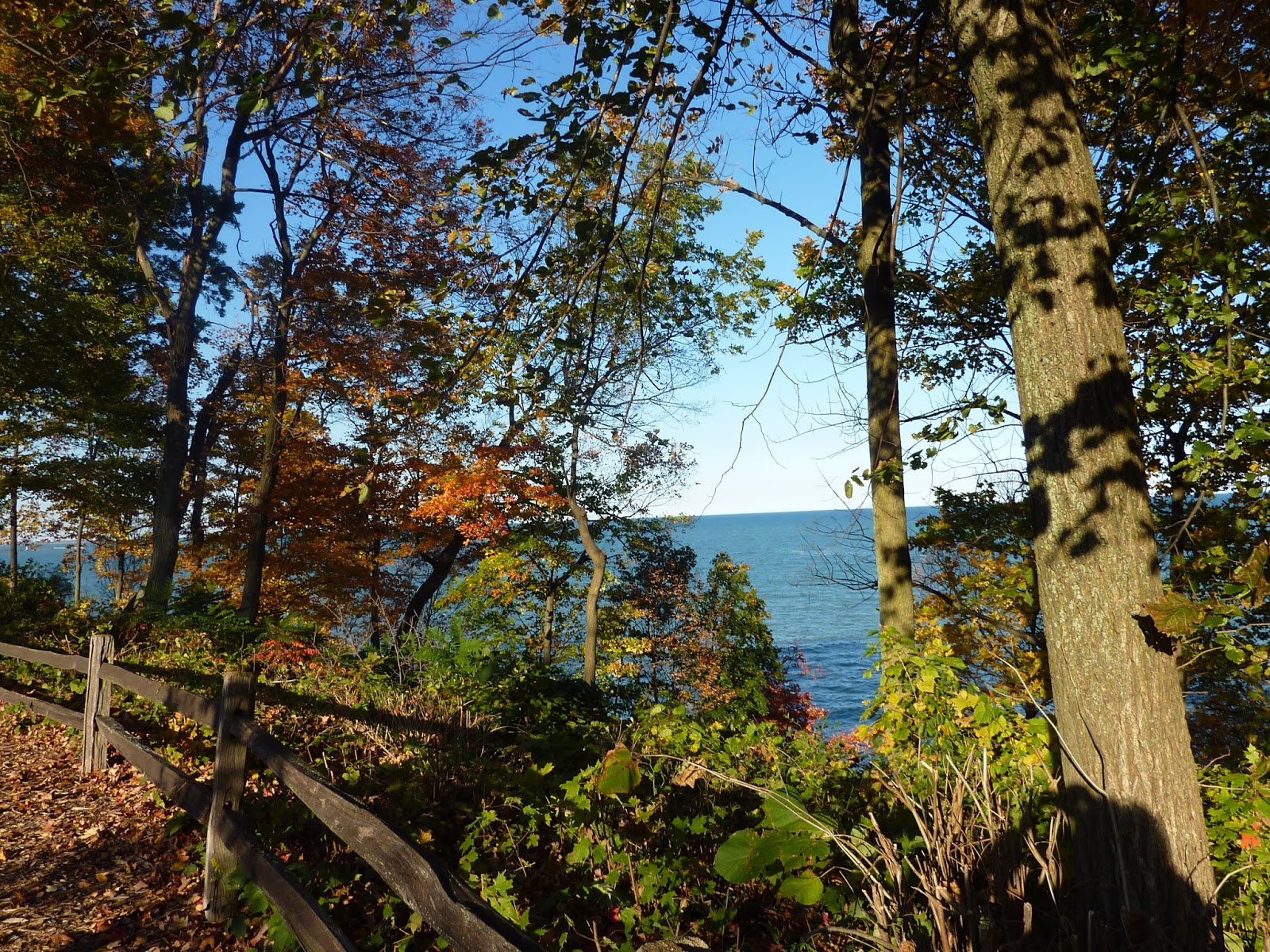 Romancing the Home Leaving Lake Bluff