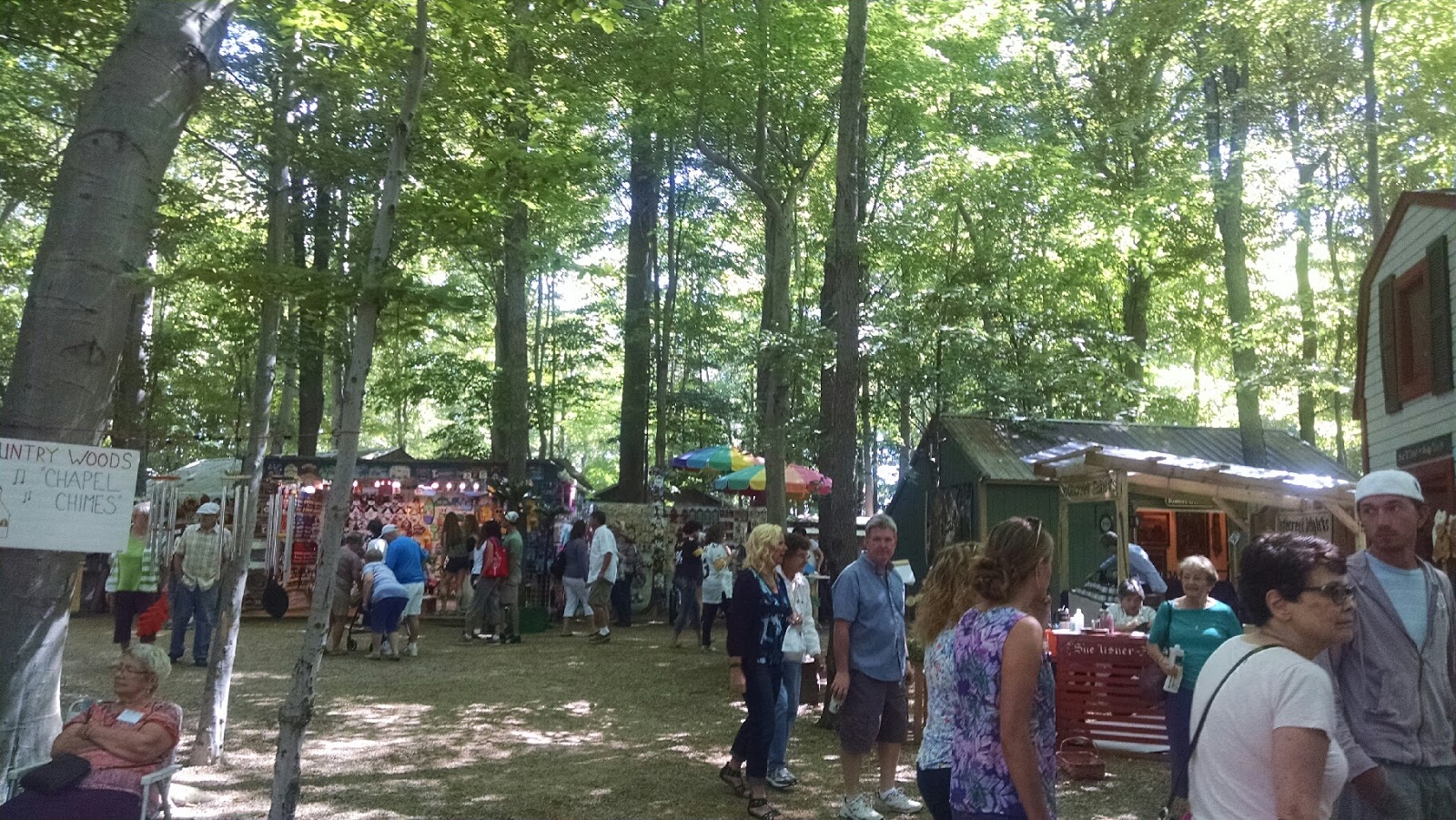 Empty Nest Whimsical Journey to Survive and Self Actualize Day 135