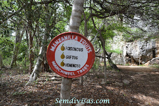 semdivisas.com -