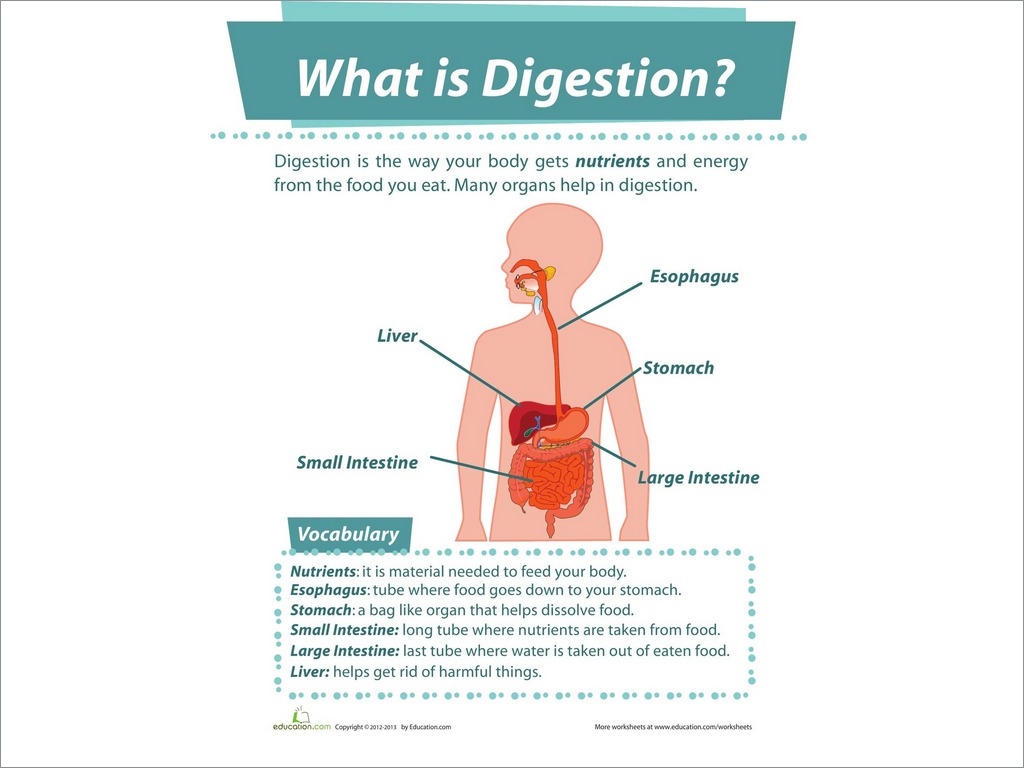 Science and Physical Education: Unit2: Nutrition