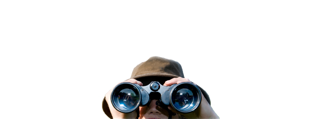Highland Wildlife and Birdwatch Safaris, Guided wildlife excursions, Aviemore, Scotland