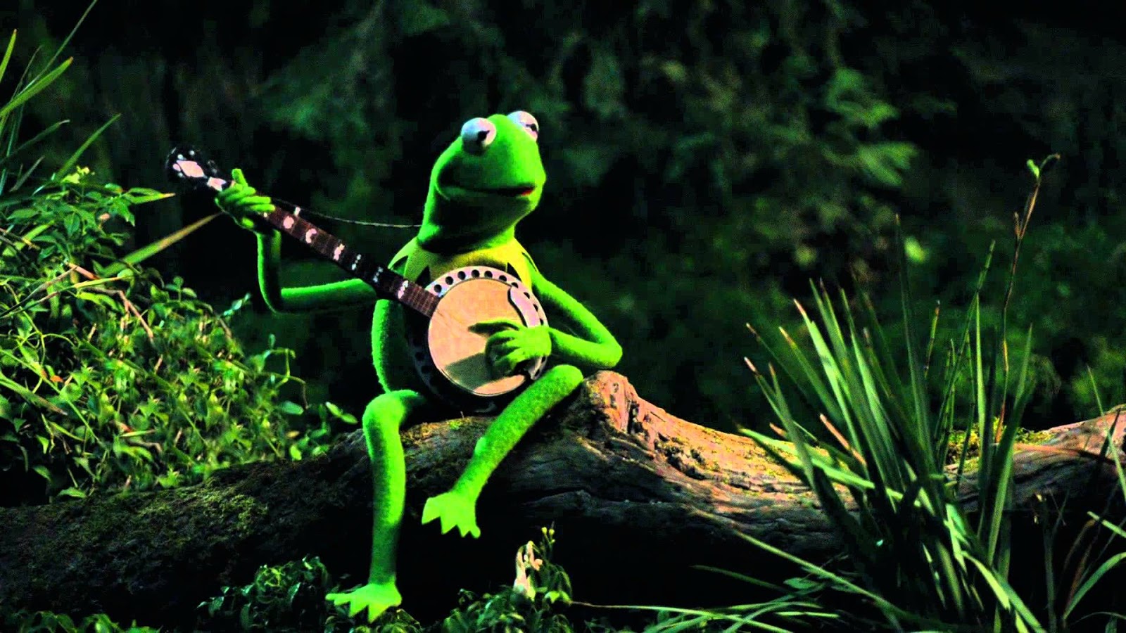 My Soundtrack : A Singing Frog