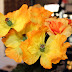 Classic yellow flower on bokeh background