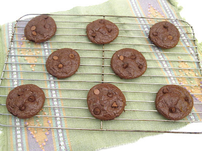 http://blog.dollhousebakeshoppe.com/2011/12/magic-flourless-chocolate-cookies-low.html