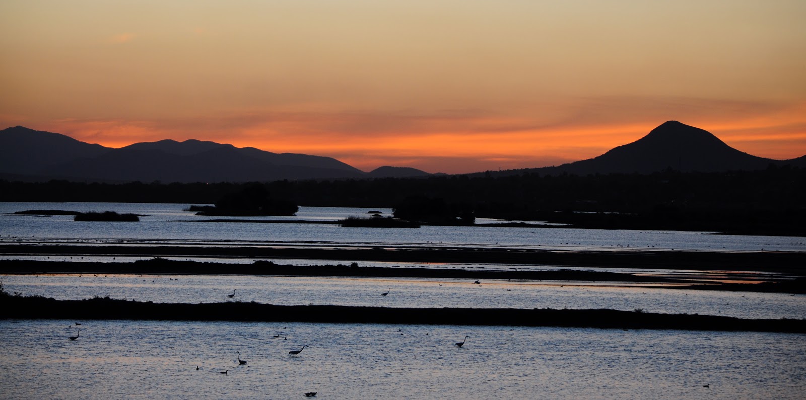 TURISMO MEXIQUENSE NATURALEZA. Laguna de ZUMPANGO,