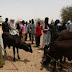 "More Bloodshed Should Be Expected In Benue State, If...." - Miyetti Allah Leader Warns - Sun News