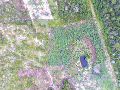 Imagem aérea obtida com uso de drone pela empresa de consultoria ambiental do Tocantins. Foto: Divulgação empresa de consultoria ambiental no Tocantins, drones, imagens aéreas, consultoria ambiental, licenciamento ambiental, imagens, naturatins, estudos ambientais, tecnologia, impacto ambiental, natureza, conservação do meio ambiente, natureza e conservação, ecotono engenharia