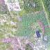 Empresa de consultoria ambiental do Tocantins usa drones para realização de estudos ambientais