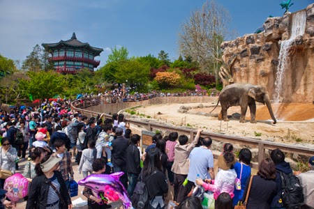 travel~^^: Children’s Grand Park ,seoul hot spot(hot spot in seoul)