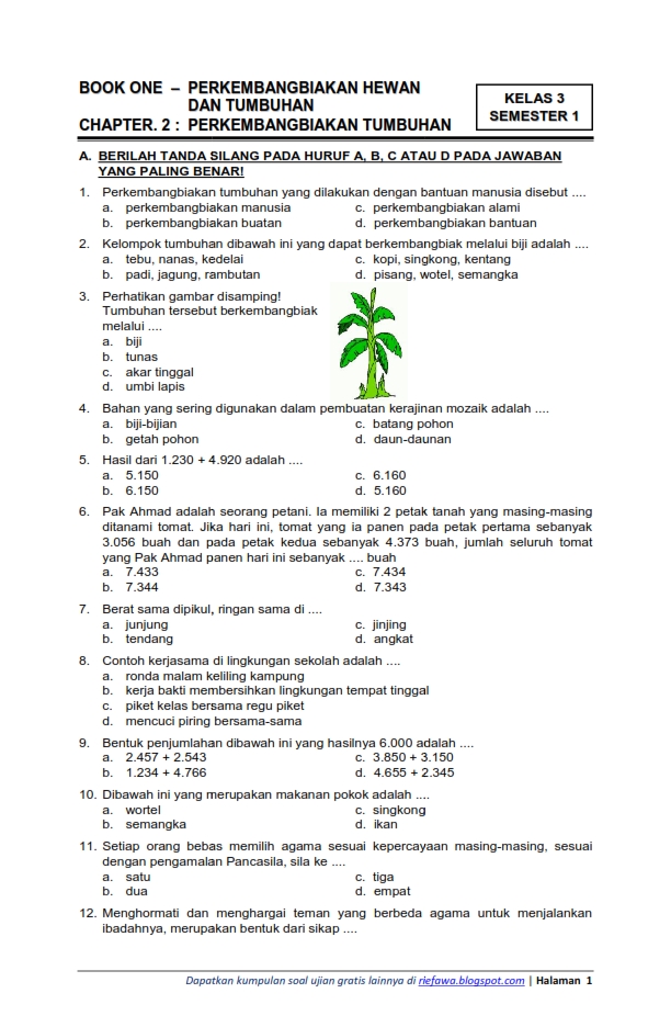 Contoh Soal Tema 1 Kelas 3