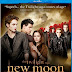 The Twilight Saga New Moon 2009 Hindi Dual Audio BRRip 480p 400MB