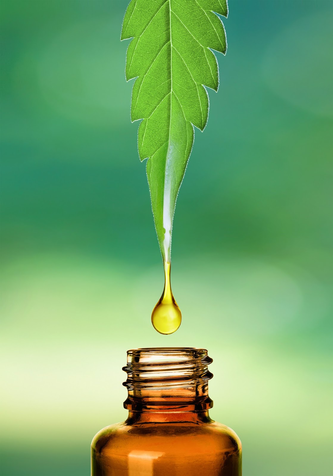 Monoatomischesgold pl Professor Dr H c Lampe CBD Oil 5 10 Ml monoatomischesgold-pl-professor-dr-h-c-lampe-cbd-oil-5-10-ml