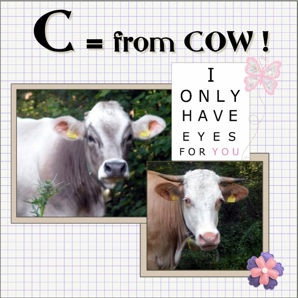 March 2016 - C = for COW