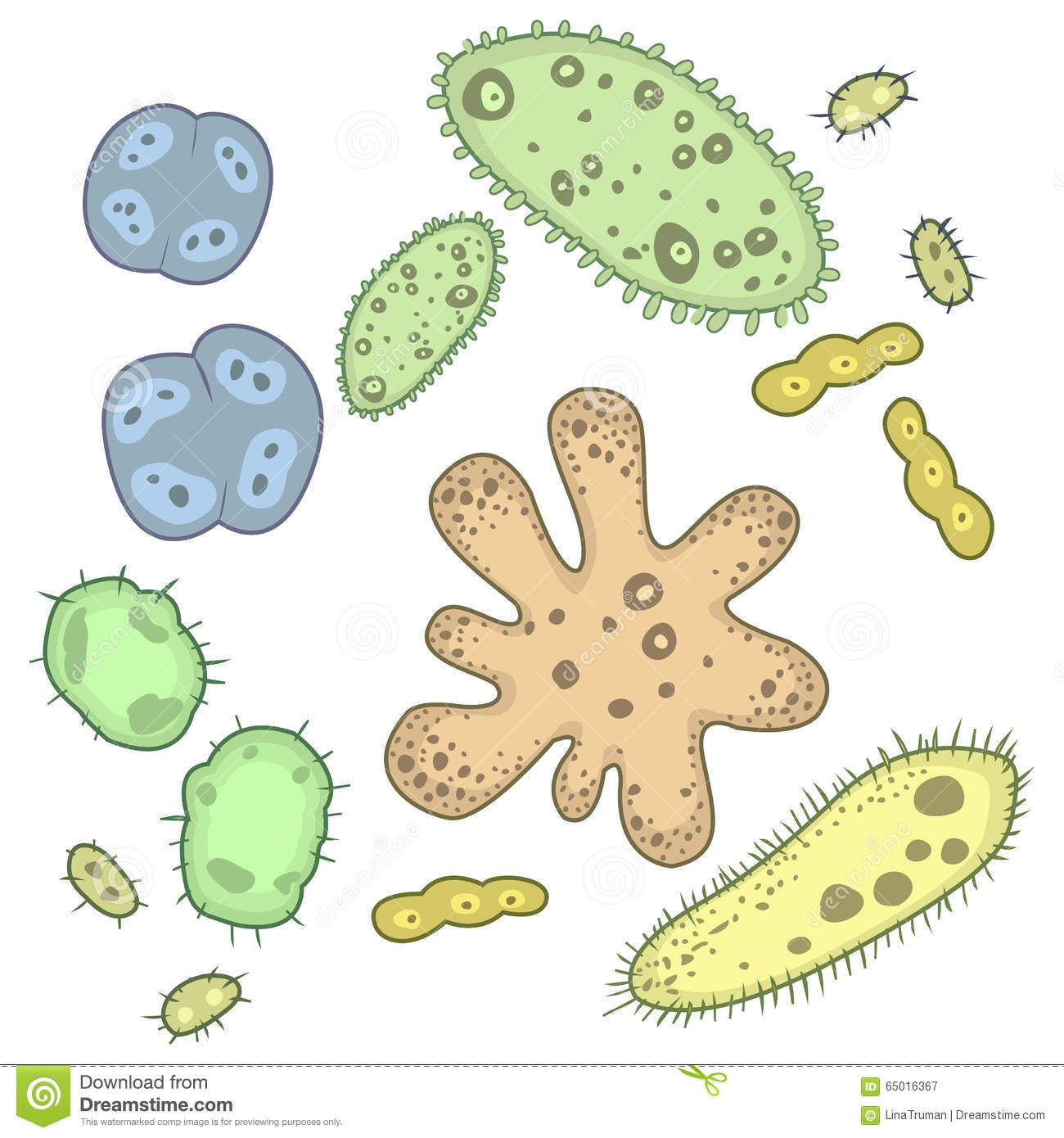 microorganismos y virus