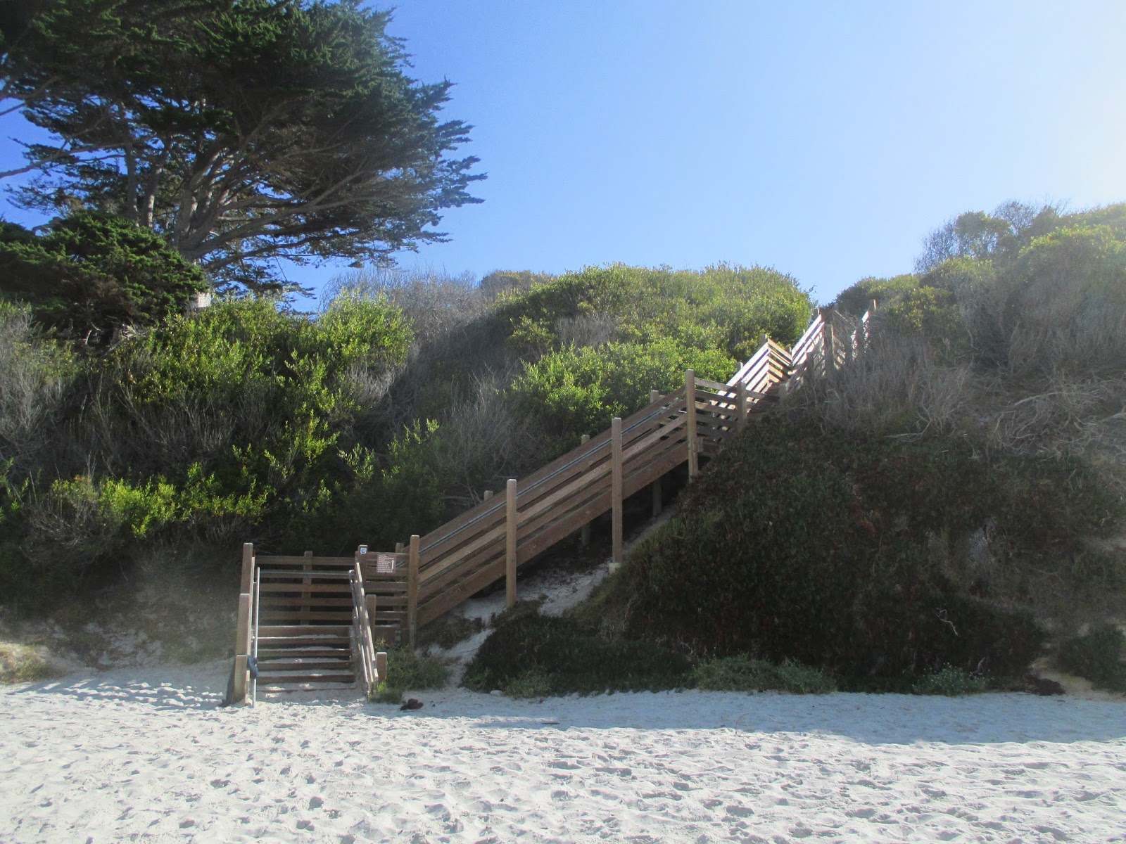 Carmel-by-the-Sea Jane Powers Walkway Loop Plus Carmel Beach Walking ...