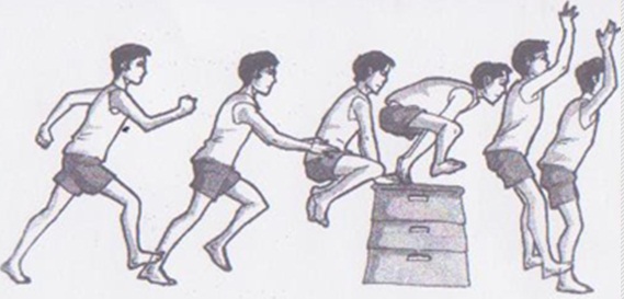 14 Jenis Gerakan Senam Lantai Beserta Cara Melakukannya Penjasorkes