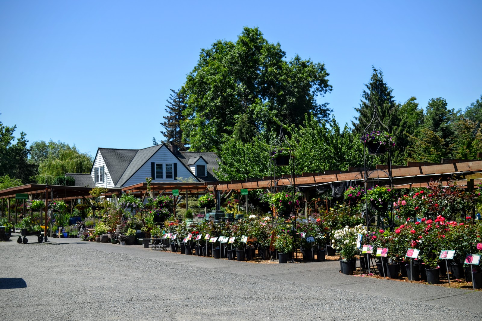 The Outlaw Gardener Visiting Vassey