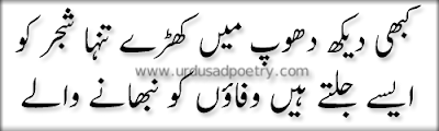 Kabhi dekh dhoop me khary tanha shajar ko - 2 line urdu poetry