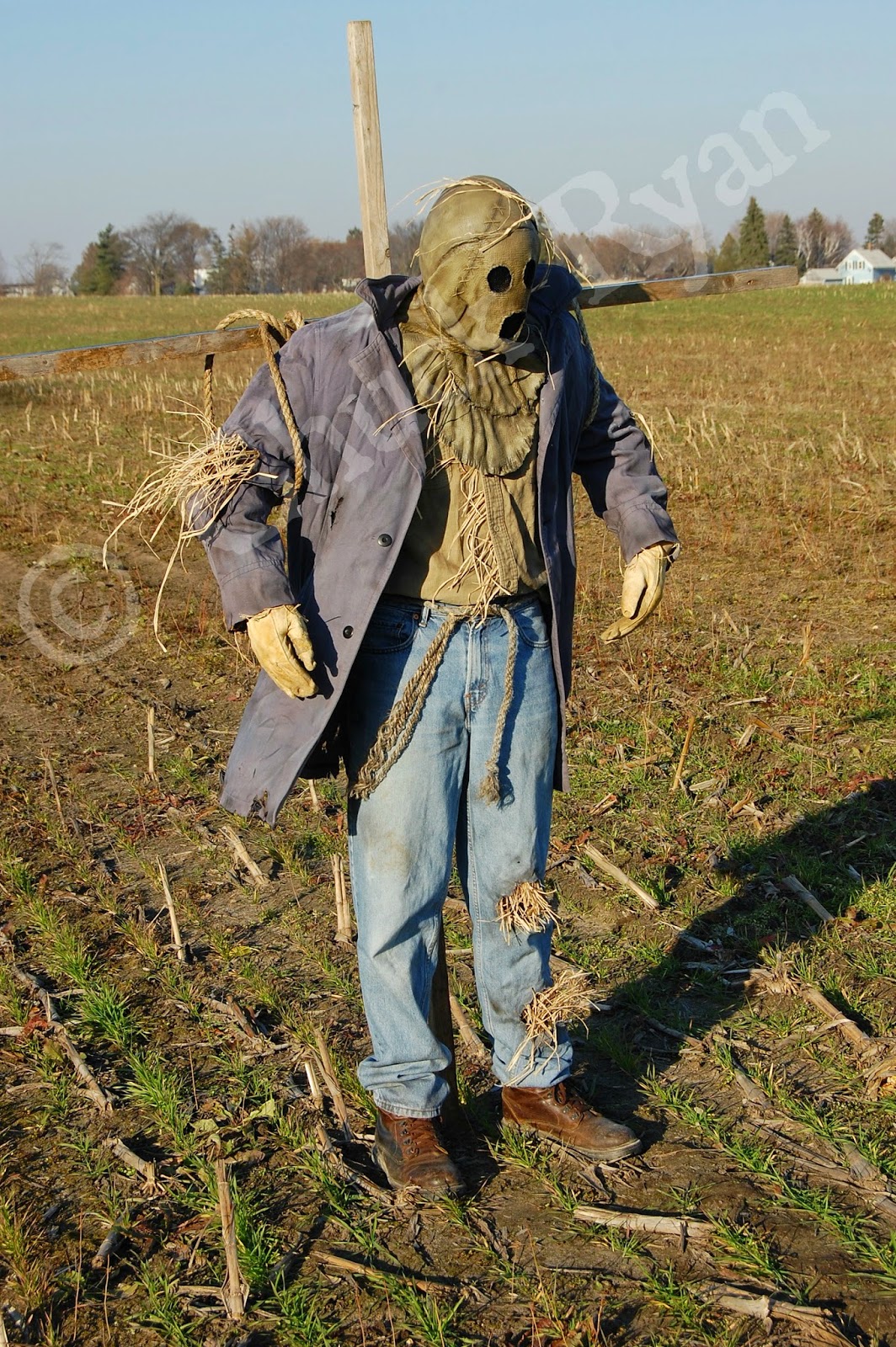 The Scarecrow's Post: November 2010
