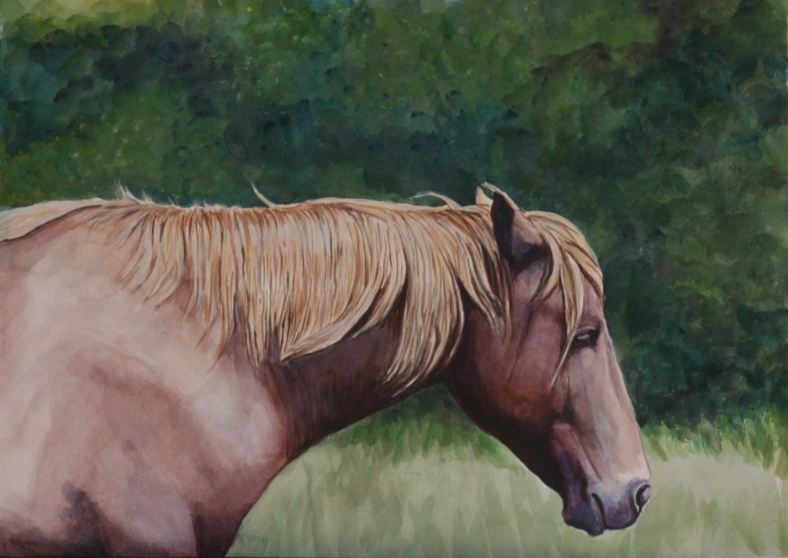 Art by Charlotte Yealey "Chincoteague Pony" Acrylic Painting by