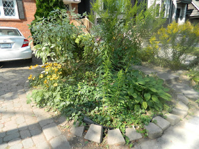 Toronto Deer Park summer garden cleanup after by Paul Jung Gardening Services Toronto Deer Park summer garden cleanup after by Paul Jung Gardening Services