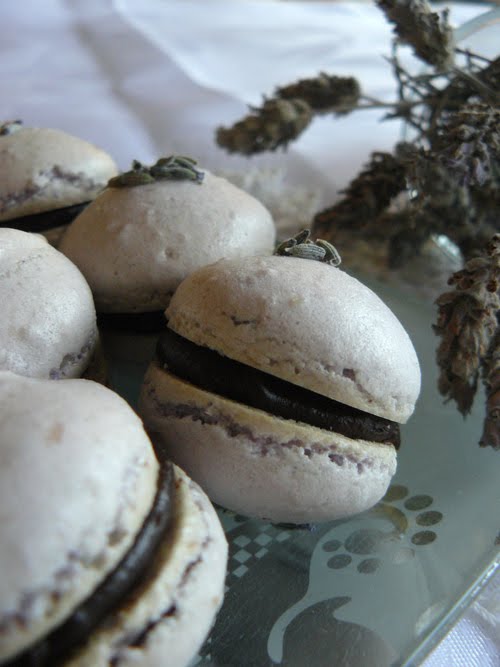 horneAndo Algo chocolate+lavanda+claras=macarons! horneAndo Algo chocolate+lavanda+claras=macarons!