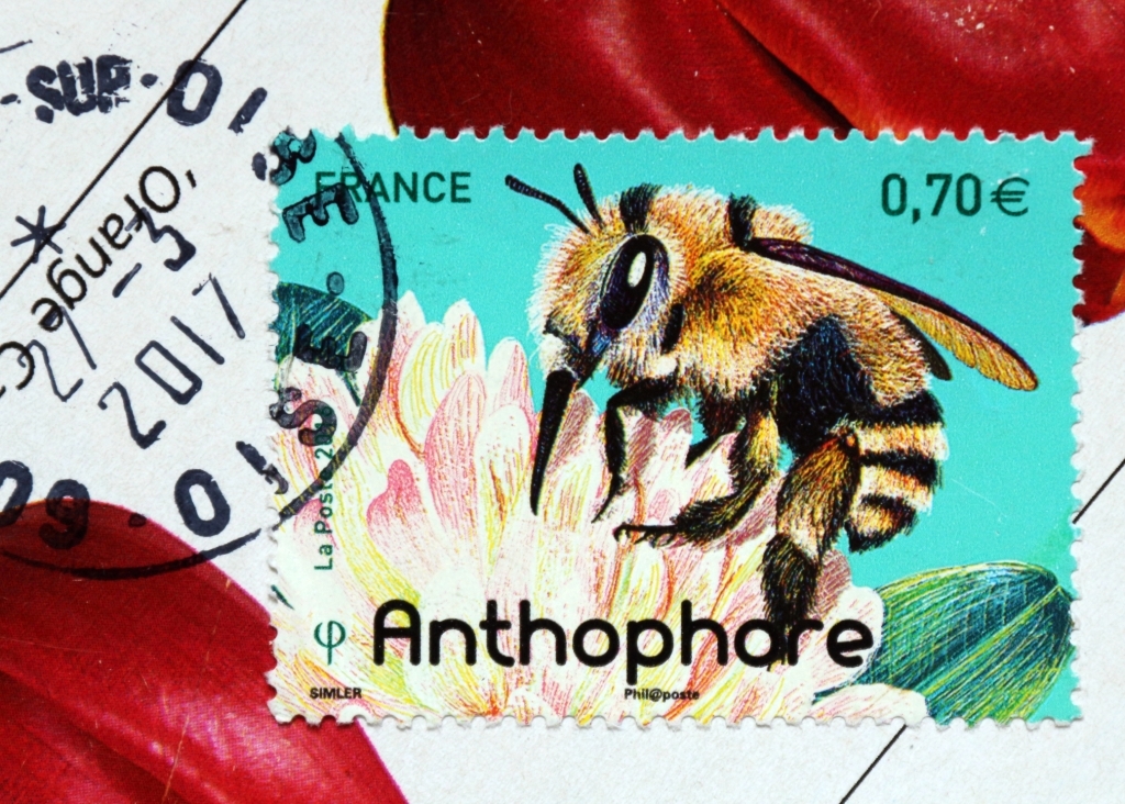 Mail Adventures Sunday Stamps I for Insects