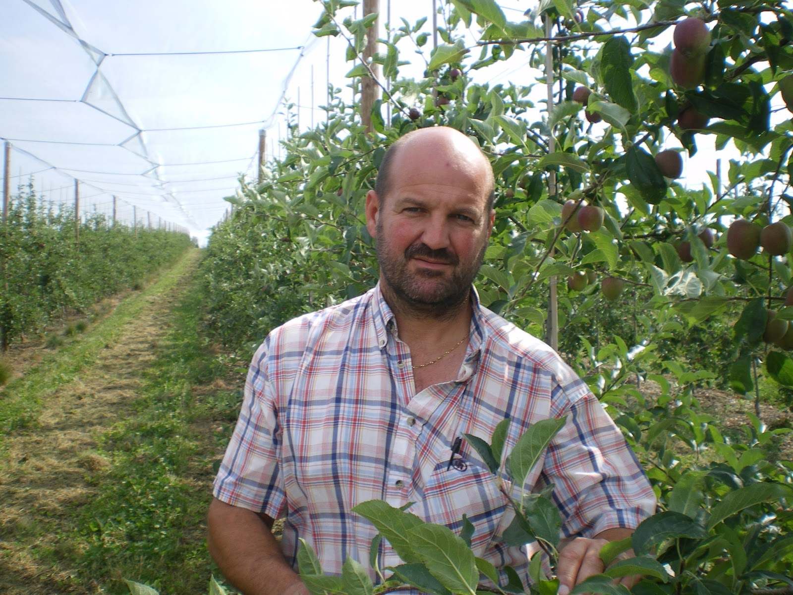 Association Saveurs de chez Nous: Les producteurs en Fruits et Légumes