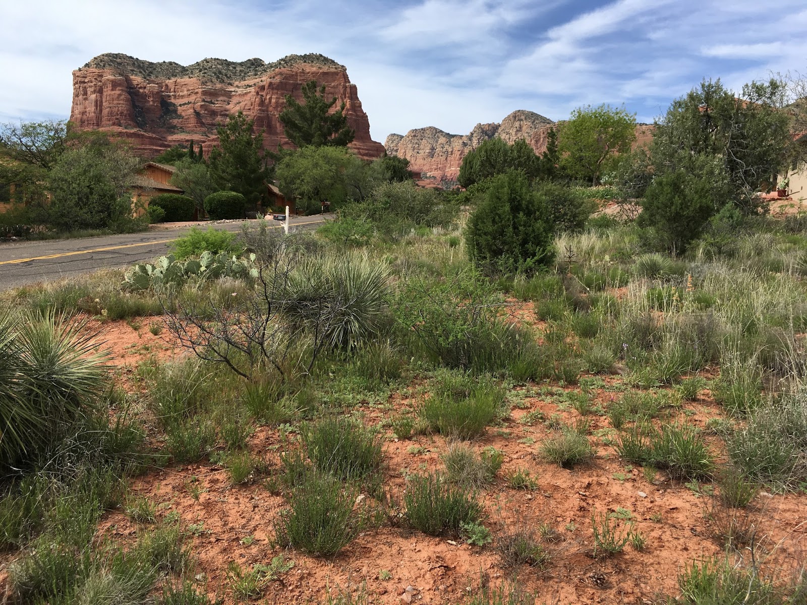 Best Buy Castle Rock >> Sedona Real Estate Best Buys Sedona Vacant Lot Offered At Best Buy Castle Rock >> Sedona Real Estate Best Buys Sedona Vacant Lot Offered At